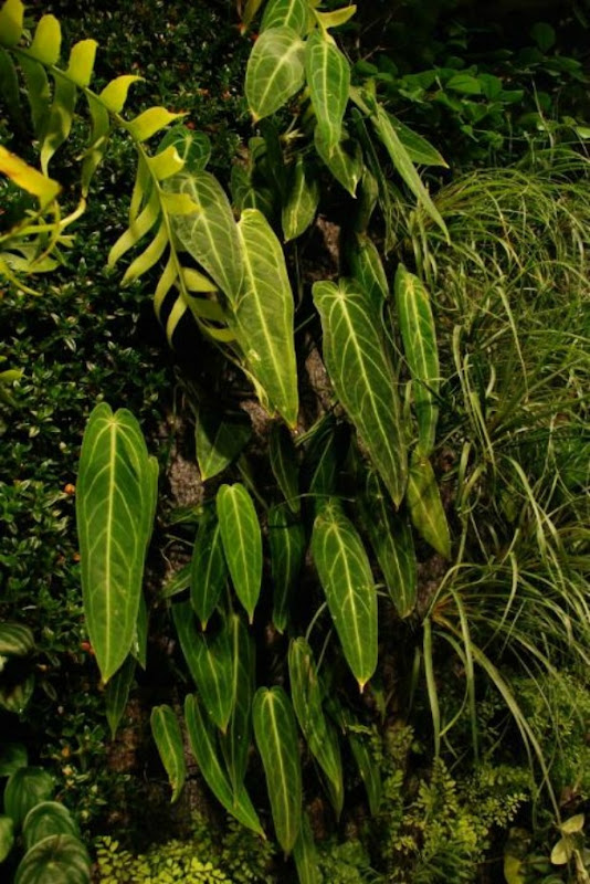 Green Wall at Costume National Aoyama Complexe 3