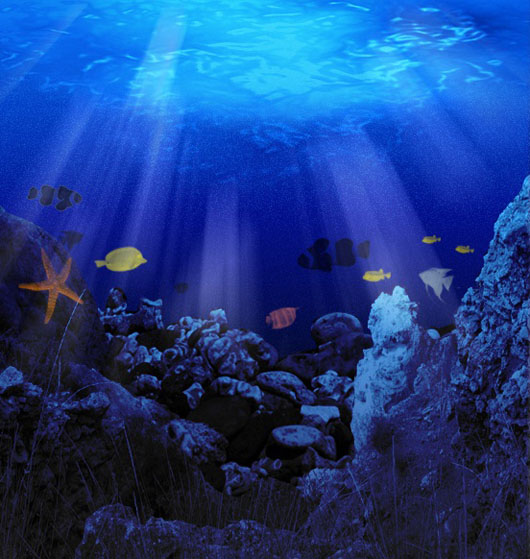 Fundo do Mar Fundo do Mar