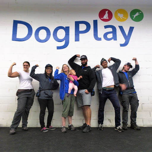 DogPlay logo