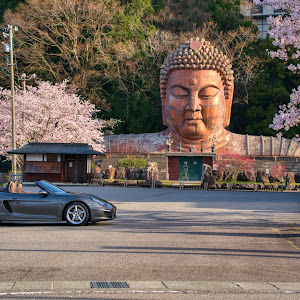 ボクスター 981MA122