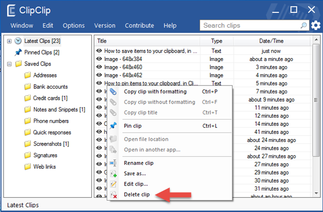 Eliminar un elemento del portapapeles de ClipClip