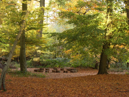 DSCF2160 Beech wood, South Heath