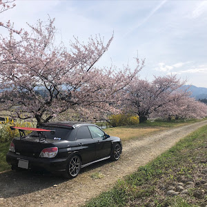 インプレッサ WRX STI GDB