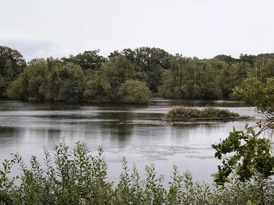 Sparham Pools nature reserve