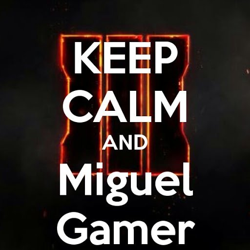 MIGUELGAMERBII2017