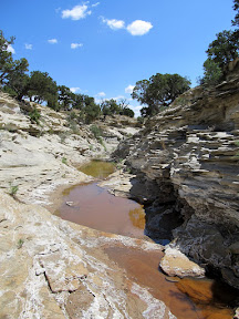 The start of my hike down lower Haley Canyon