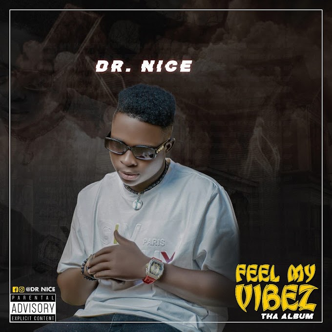 Dr. Nice — Feel My Vibez (EP) 