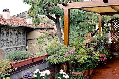 Photos of Acacia The Perfect Holiday
