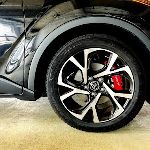 C-HR ZYX10
