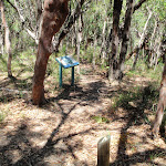 sign halfway along the Palm Tree Circuit Track (248527)