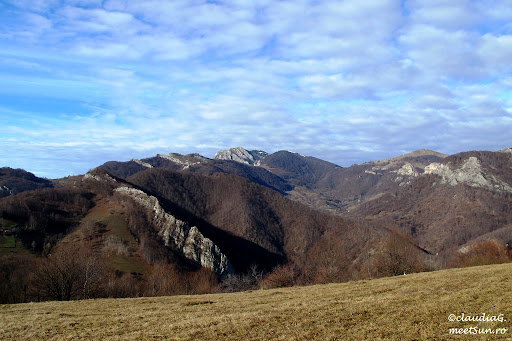 Catune in Muntii Cernei.