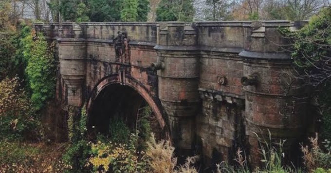 Misteri Jembatan Overtoun, Tempat Para Anjing Bunuh Diri