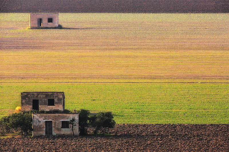 Tavoliere della Puglia di prometeo