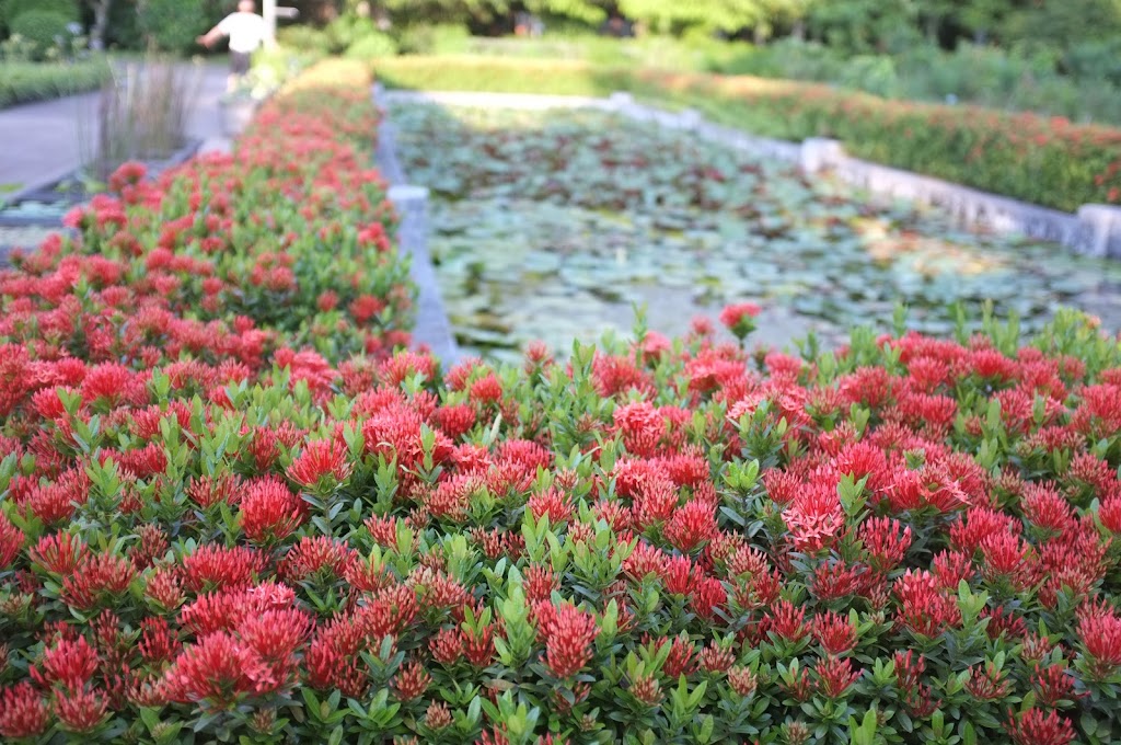 Taipei Botanical Garden