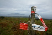 IMG_8181 IMG_8181