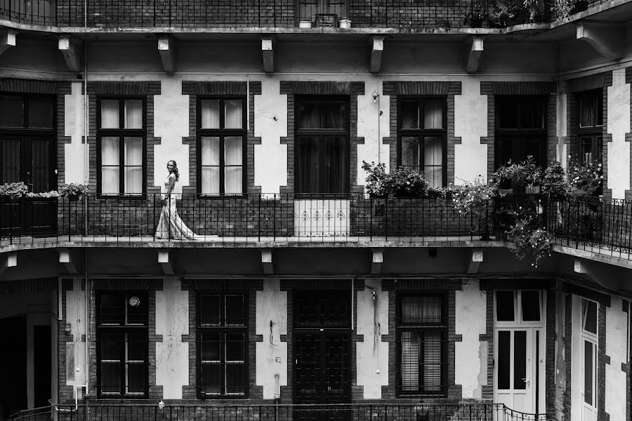 Fotógrafo de casamento Ferenc Zengő (zengoferenc). Foto de 12 de setembro 2022