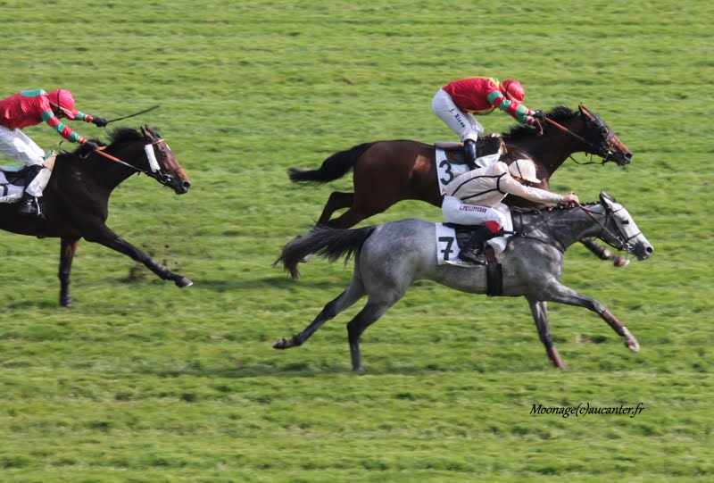 Photos Auteuil 11-10-2015 IMG_5178