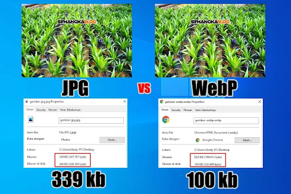 jpg vs webp