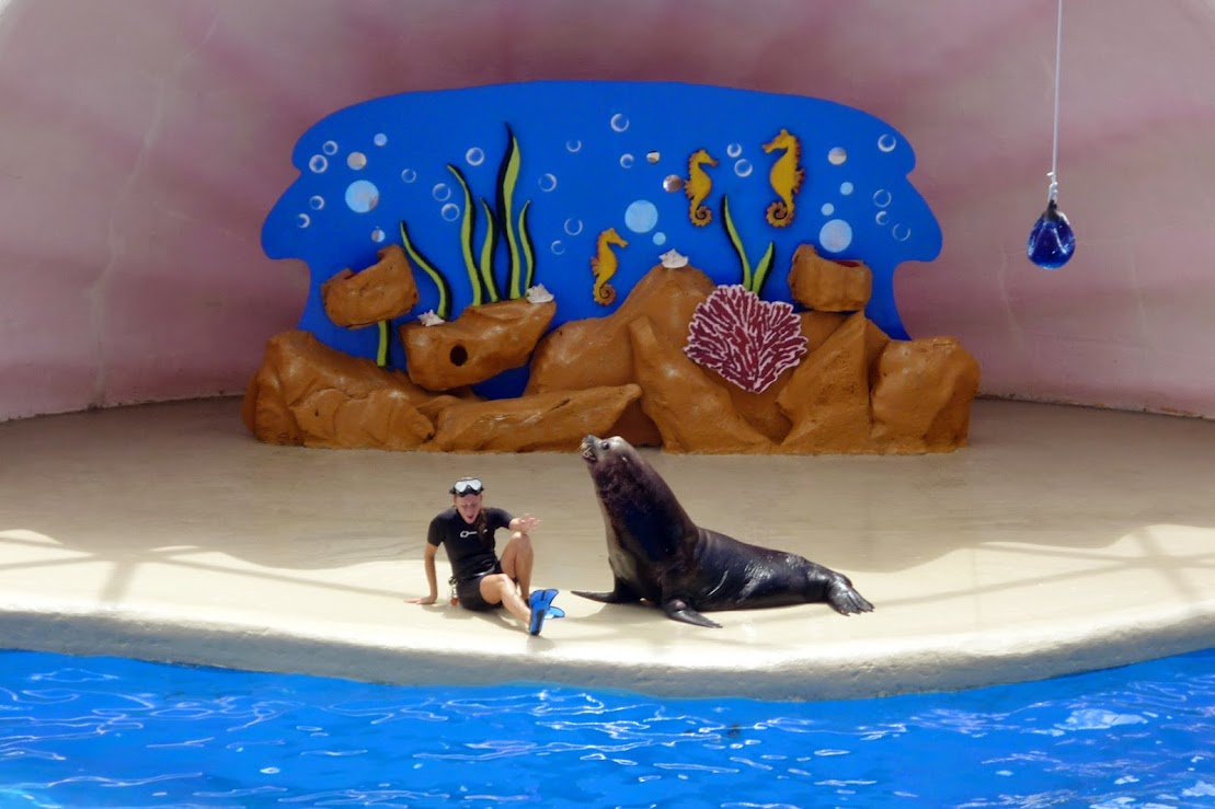 Багамы под небом Норвегии: круиз Norwegian Sky, Нью-Йорк, Ниагара, Тампа, Майами, Key West