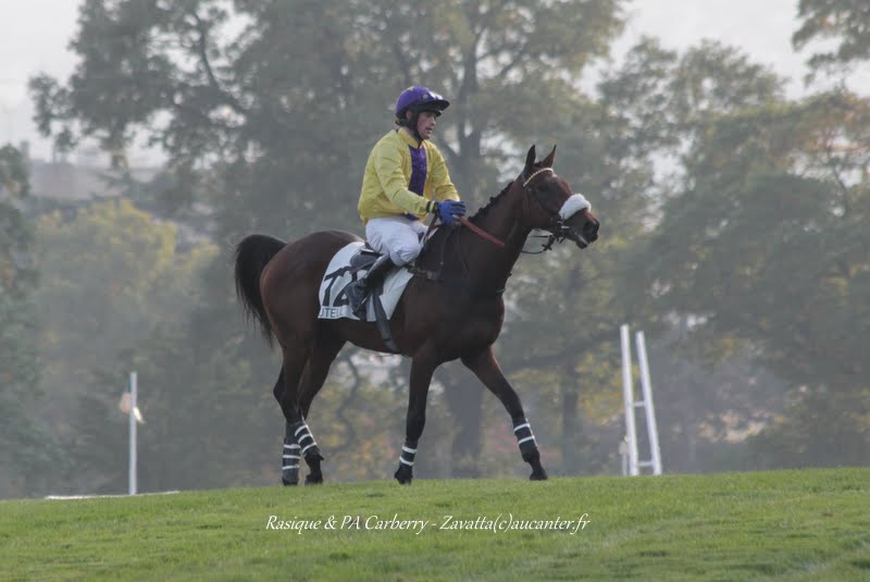 Photos Auteuil 11-10-2015 - Page 2 IMG_5563
