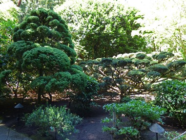 Japanese Garden, Butchart Gardens