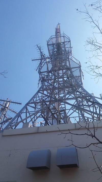 Photos of 응봉산공원