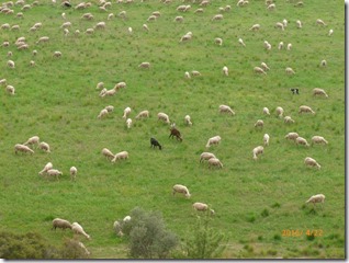 alpilles 23