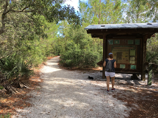 Nature Preserve «Black Hammock Wilderness Area», reviews and photos, 3276 Howard Ave, Oviedo, FL 32765, USA