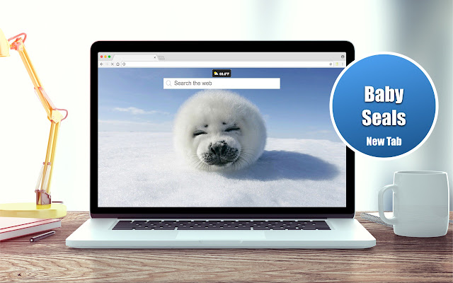 Baby Seals Wallpapers New Tab Theme