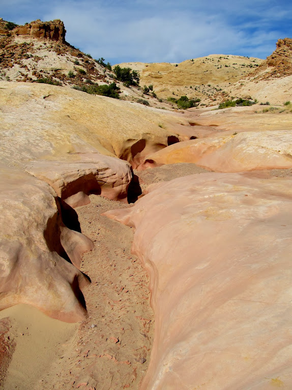 Temple Wash