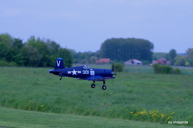 Corsair F4U DSC_0166