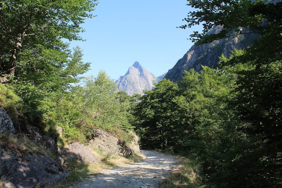 L'étang de Batouxiade dans la vallée d'Orlu IMG_3985