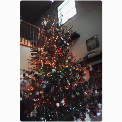 christmas tree 2016