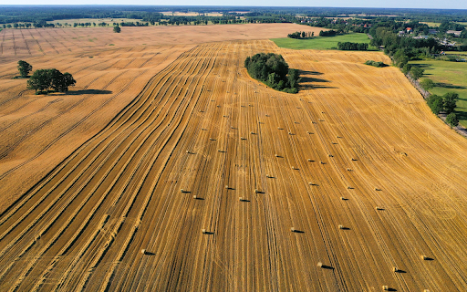 Field after harvest screenshot 1