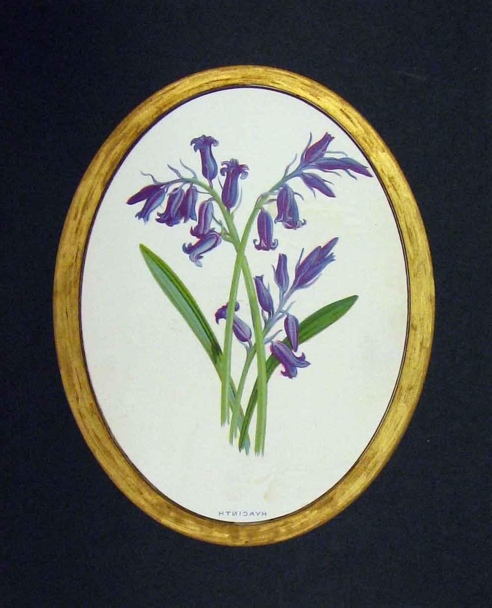  1890 Colour Print Flower