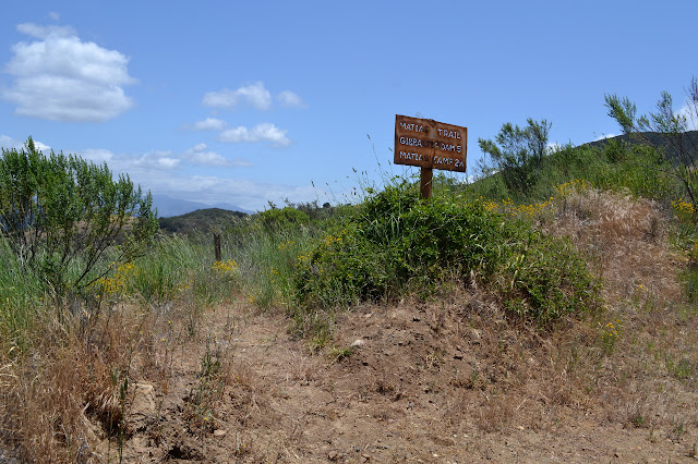 trail sign