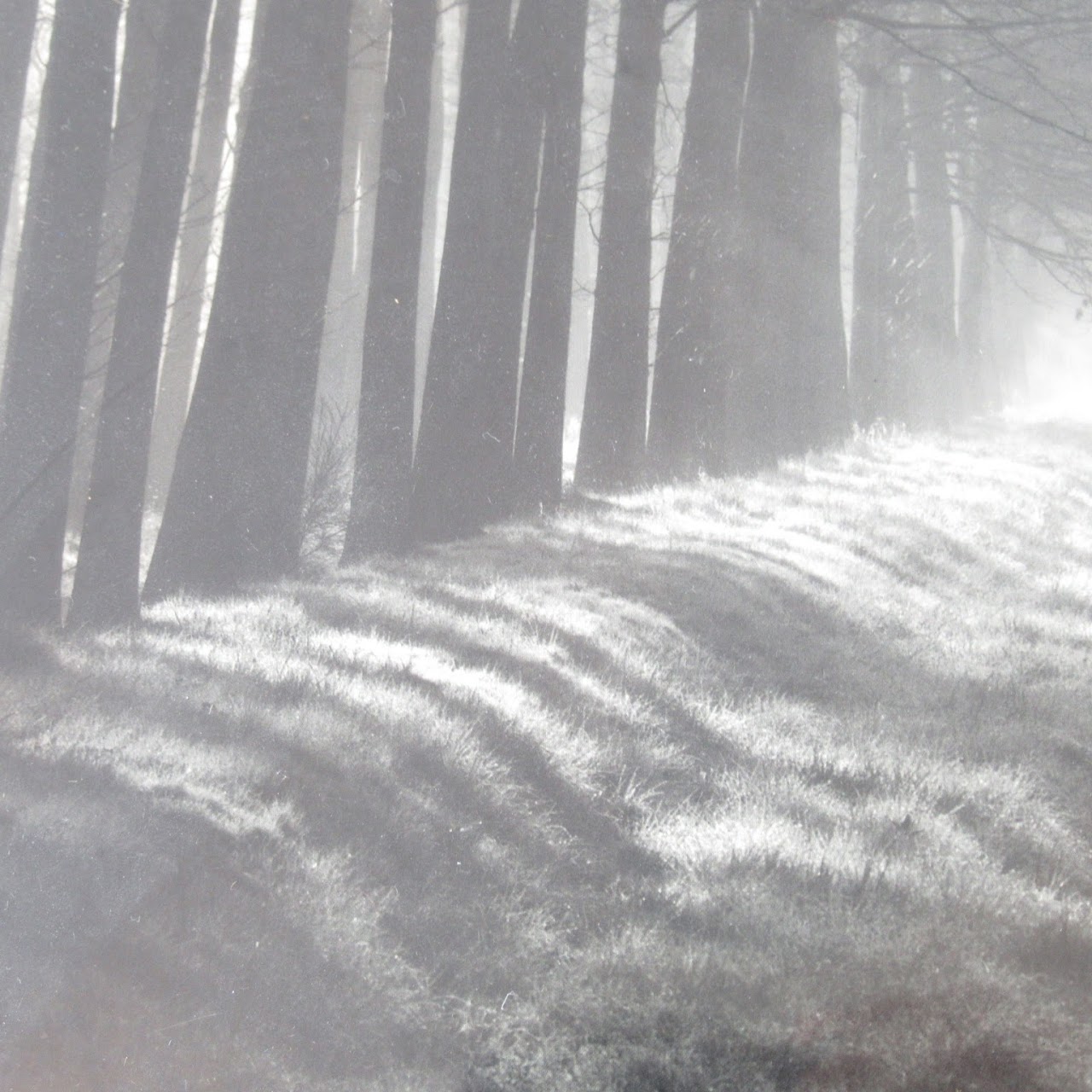 Silver Gelatin Landscape Photograph