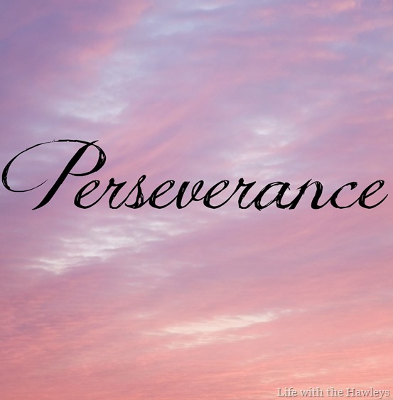 Perseverance