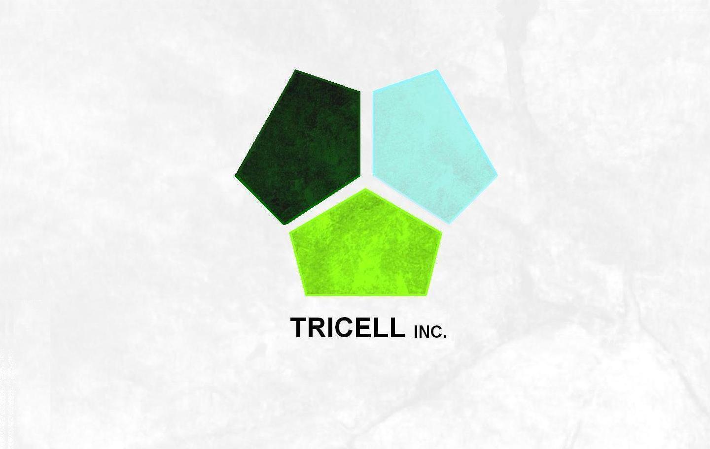 파일:attachment/트라이셀/Tricell.jpg