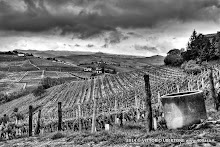 21 aprile 2014 Castiglione Tinella - fotografia di Vittorio Ubertone