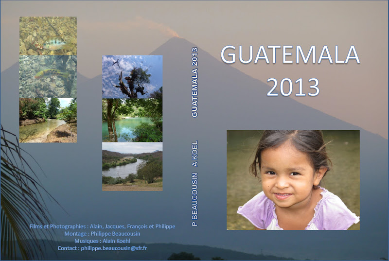 Guatemala 2013 - Pourquoi le silence. - Page 2 Couverture%2520DVD