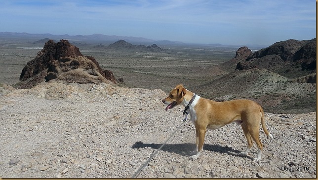 Saddle Mountain