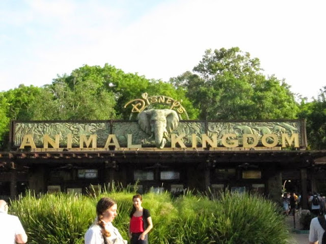 DISNEYWORLD, PLAYAS DE FLORIDA Y NAVEGANDO POR EL CARIBE - Blogs de America - ANIMAL KINGDOM Y HOLLYWOOD STUDIOS (1)