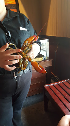 Seafood Restaurant «Red Lobster», reviews and photos, 4215 13th Ave S, Fargo, ND 58103, USA