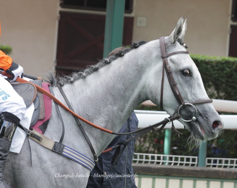 Photos Auteuil 26-09-2015 IMG_4110