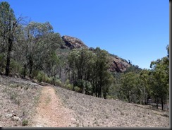 171107 108 Warrumbungles Wambelong Nature Trail