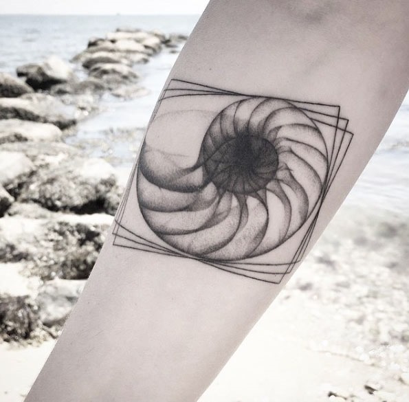 xray_seashell_antebraço_tatuagem