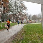 2014.11.09 Biegi Niepodległości - Ostrowiec Świętokrzyski