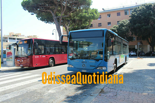 Rete bus Ostia - Dal 13 settembre partono le modifiche