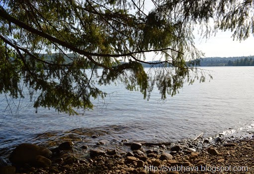 Ike Kinswa State Park Cabin, Lake Mayfield